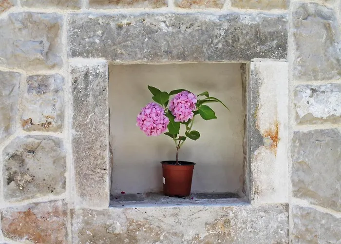 Villa Princess Captislava *