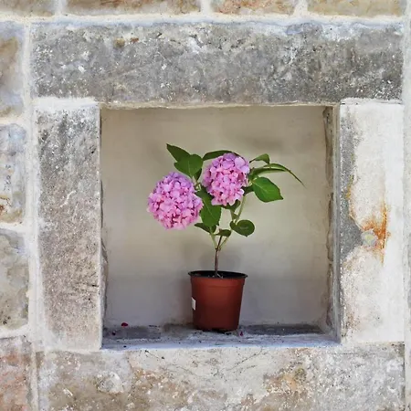 Villa Princess Captislava *